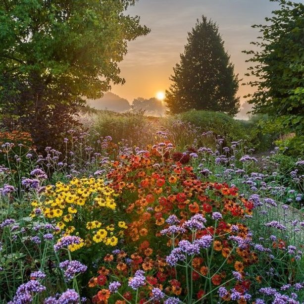 JardinFleuri