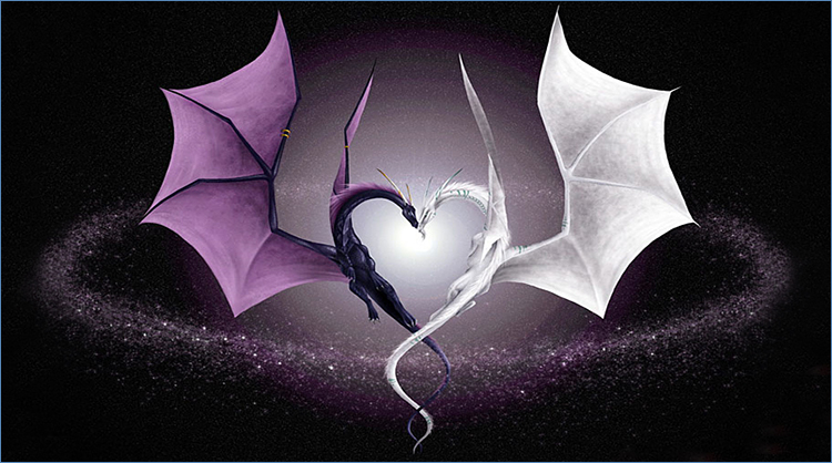 dragon blanc et noir pg